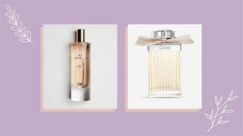 zara chloe dupe|perfumes that smell like chloe.